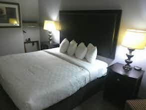 Hotel Carradoc Hall Hotel & Conference Center by The Red Collection photo 5