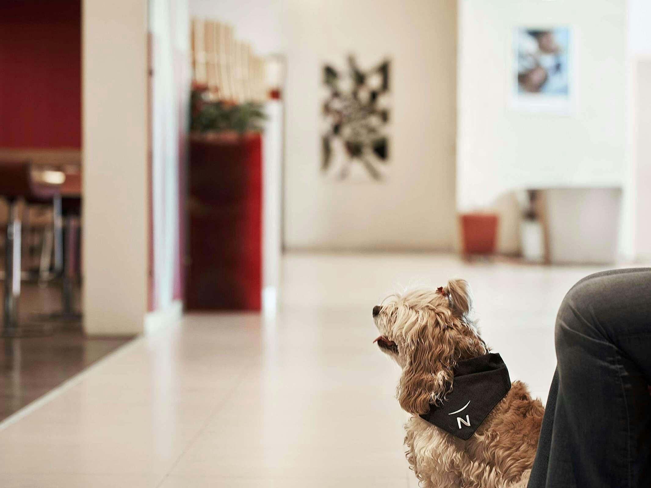 Hotel Novotel Athenes photo 4