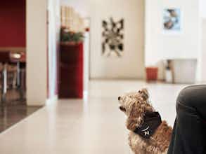 Hotel Novotel Athenes photo 4