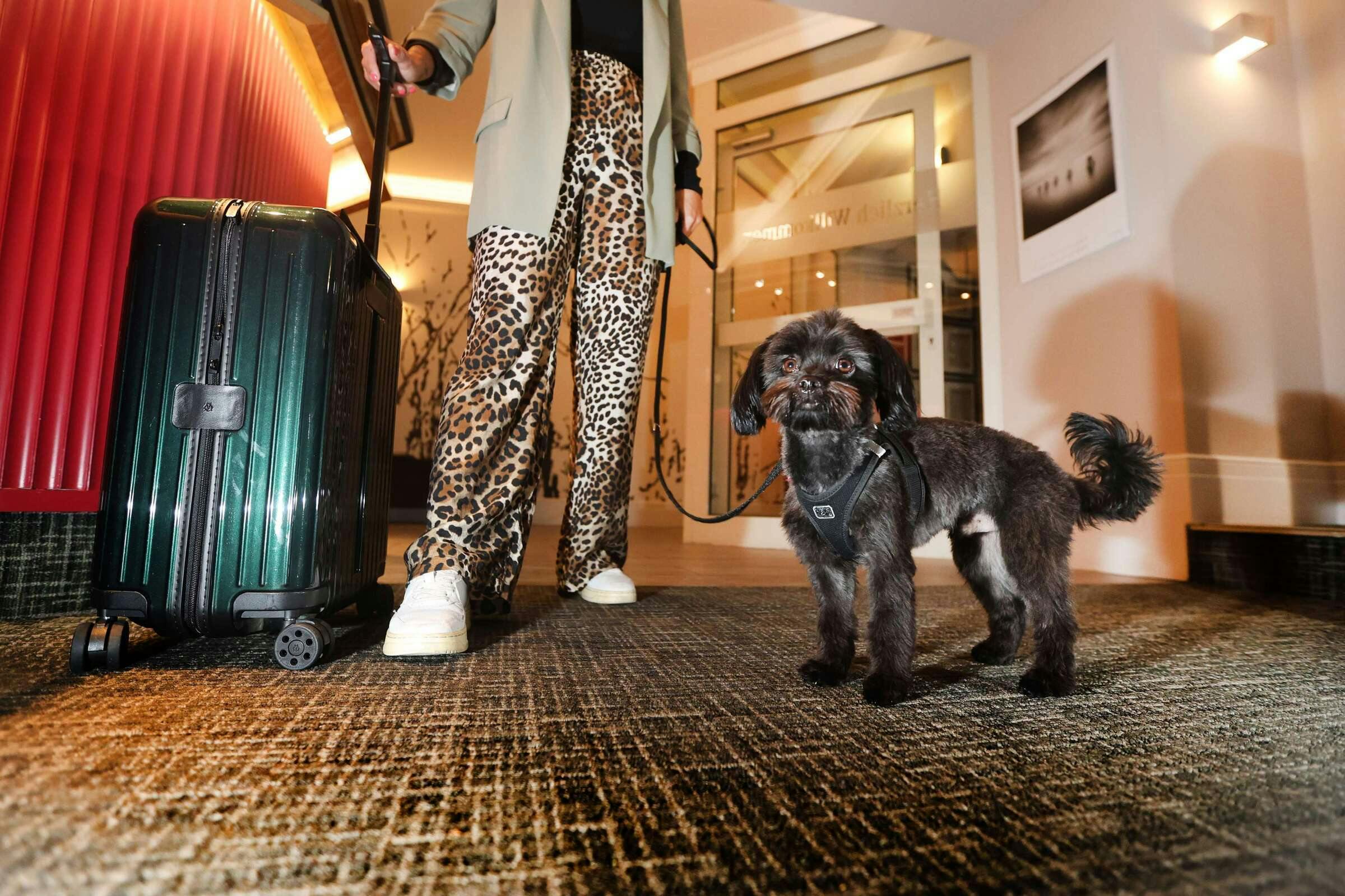 Hotel Best Western Hotel Windorf photo 1