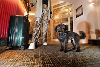 Hotel Best Western Hotel Windorf photo 1