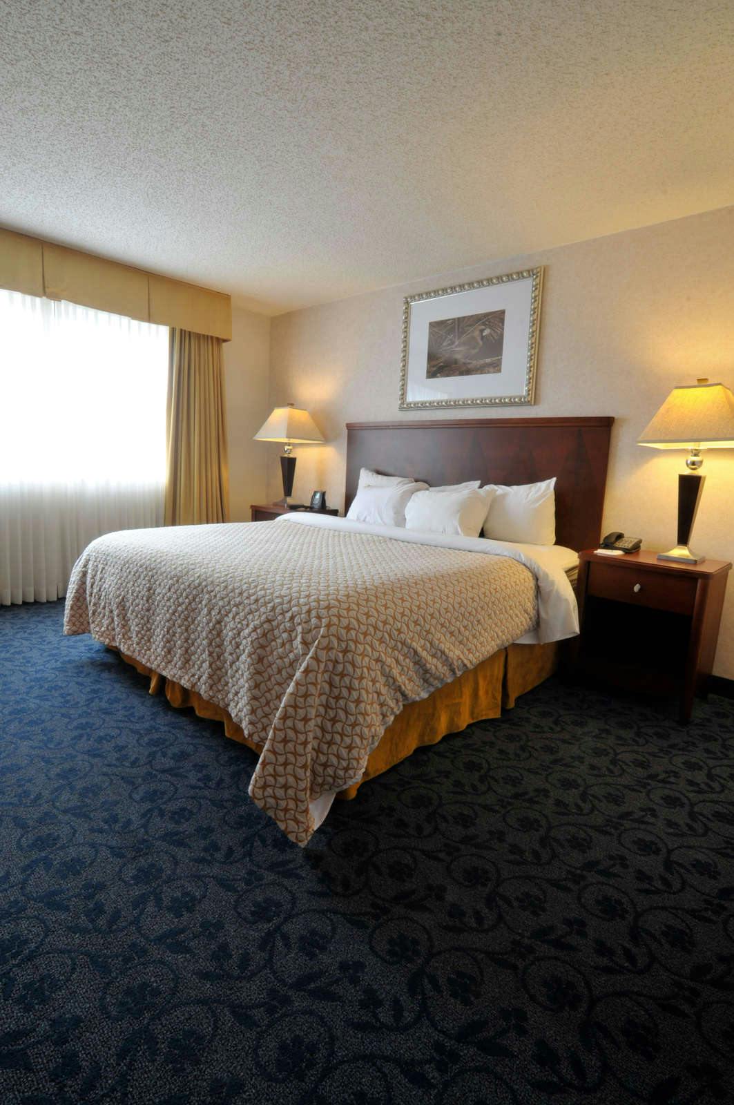 Hotel Embassy Suites By Hilton Cincinnati Rivercenter photo 1