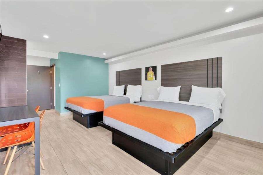 Hotel Exclusivo Inn & Suites photo 2