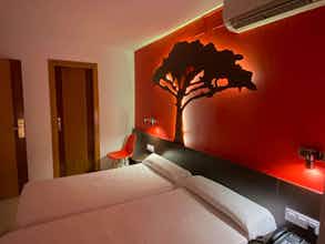 Hotel Hotel Sol Playa photo 3
