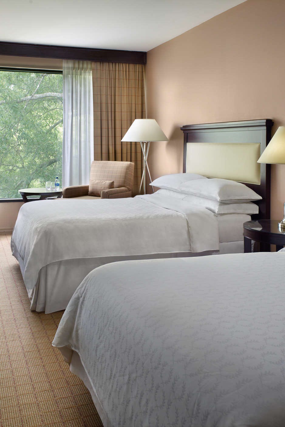 Hotel Sheraton Chapel Hill Hotel photo 4