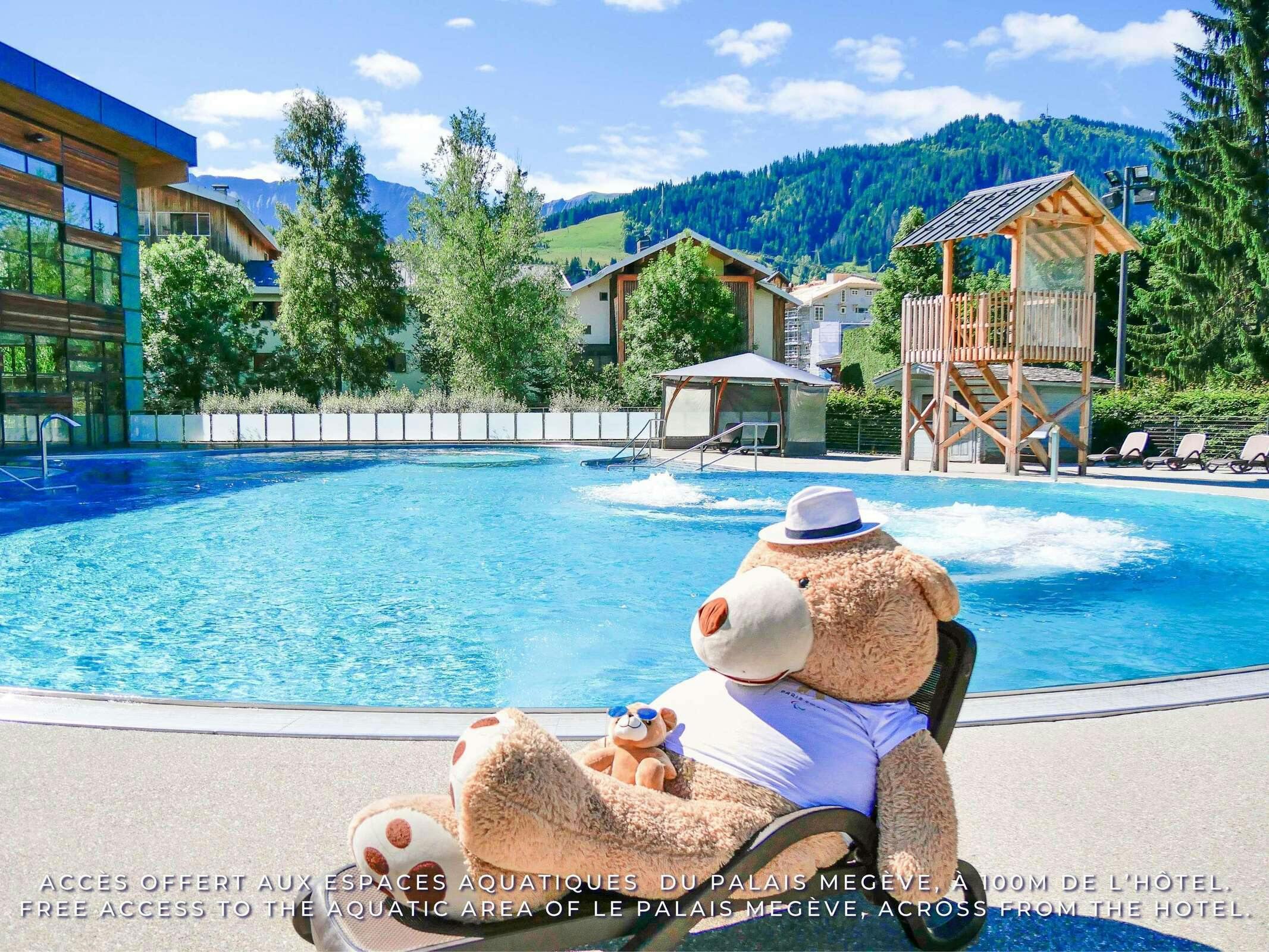 Novotel Megève Mont Blanc Hotel****