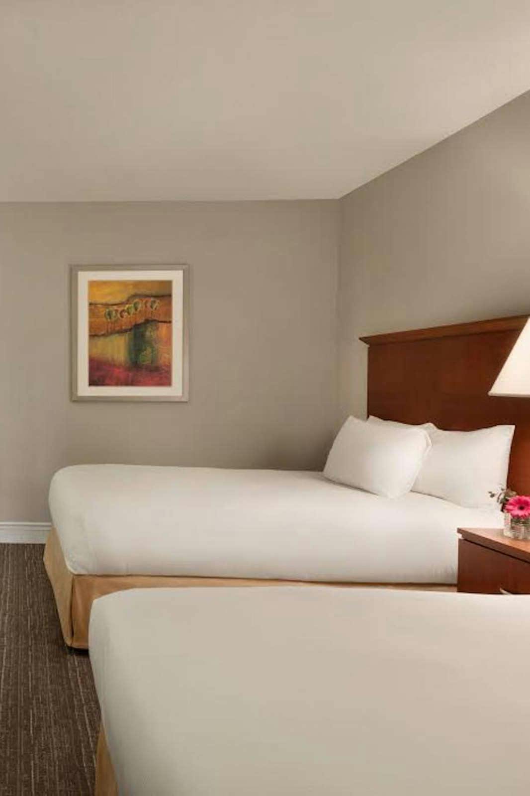 Hotel DoubleTree by Hilton Hotel Minneapolis - Park Place photo 4