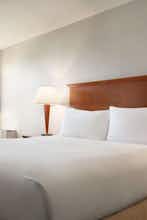 Hotel DoubleTree by Hilton Hotel Minneapolis - Park Place photo 2