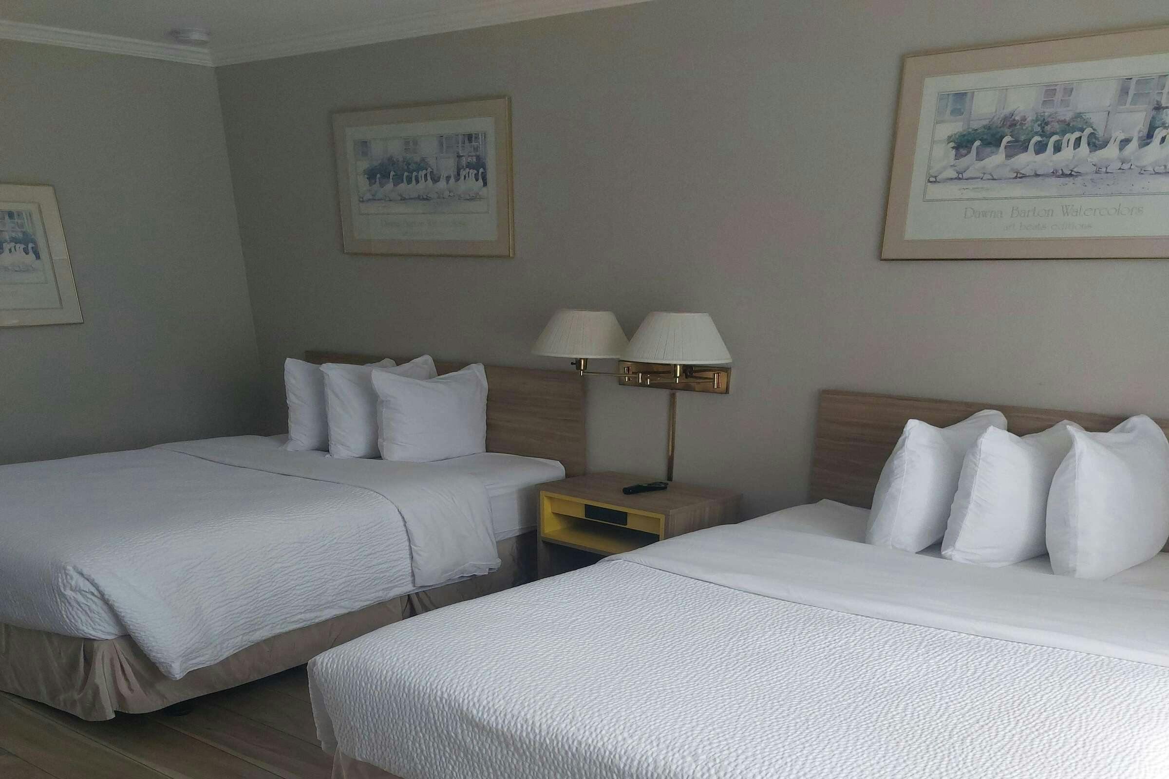 Hotel Days Inn Suites MT View photo 3