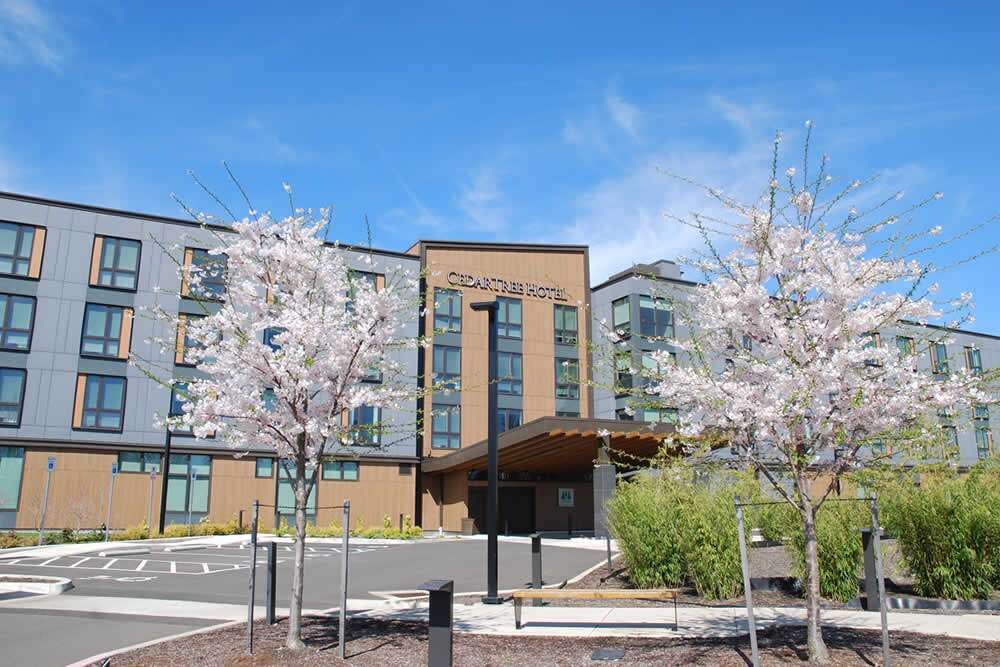 Cedartree Hotel