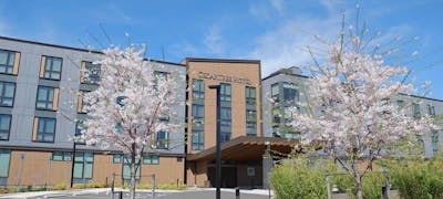 Cedartree Hotel