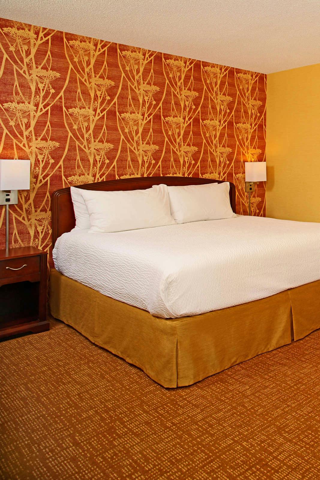 Hotel Courtyard by Marriott Baltimore Downtown/Inner Harbor photo 1