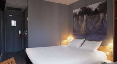 Ibis Arles