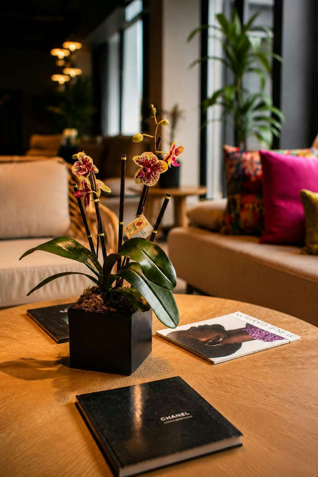 Hotel Ola Boutique Hotel photo 1