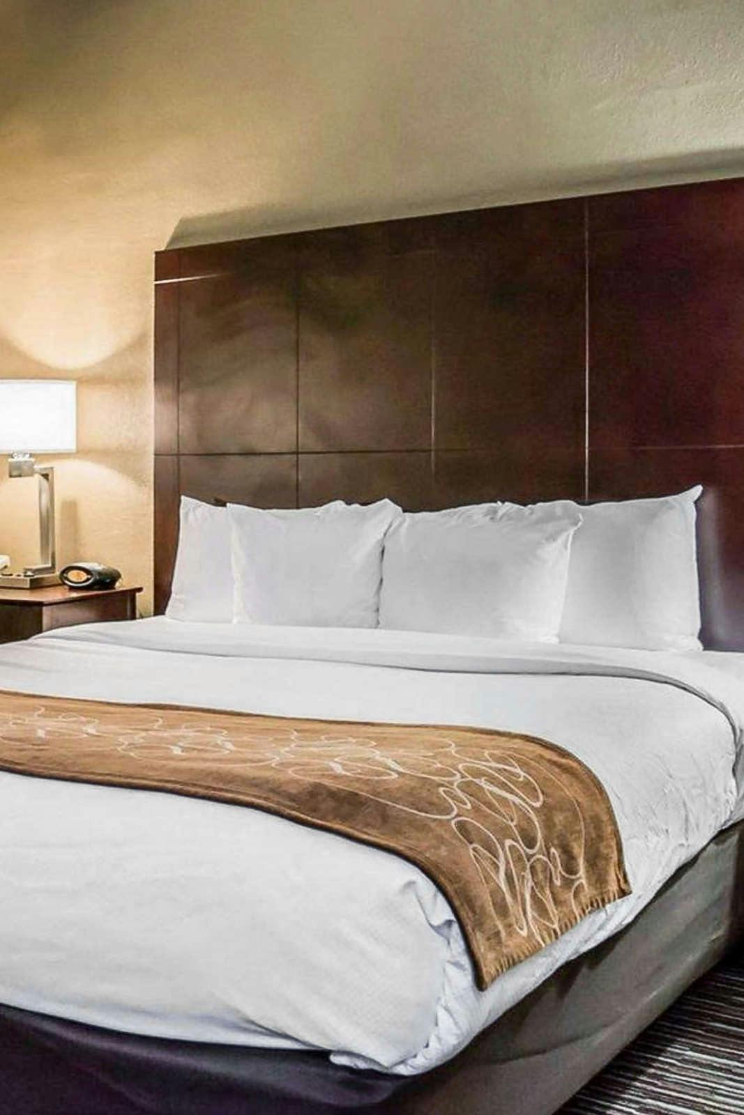 Comfort Suites Clearwater Dunedin Clearwater Hoteltonight