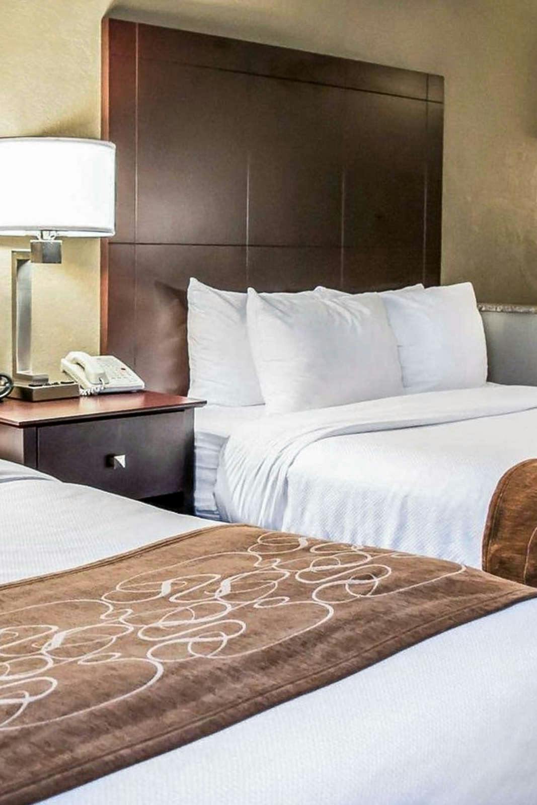 Comfort Suites Clearwater Dunedin Clearwater Hoteltonight