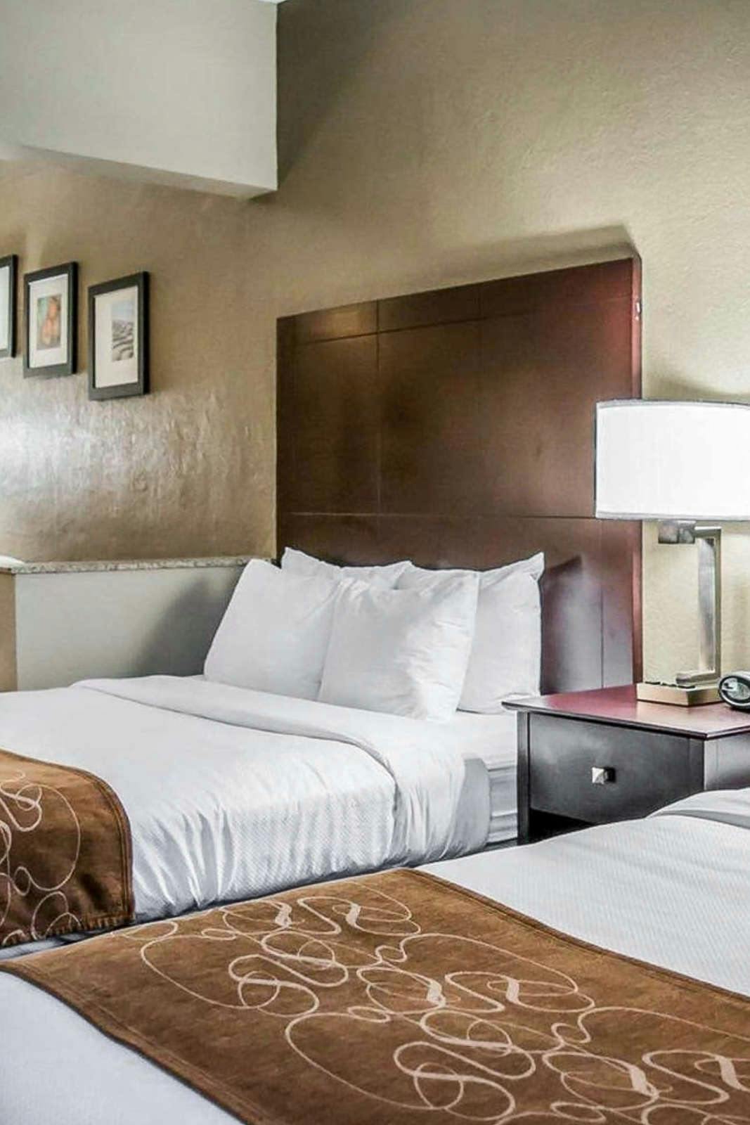 Comfort Suites Clearwater Dunedin Clearwater Hoteltonight