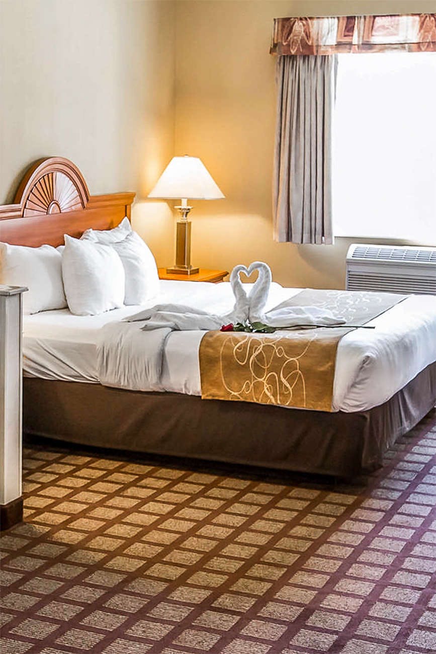 Comfort Suites Chicago Schaumburg Chicago Hoteltonight
