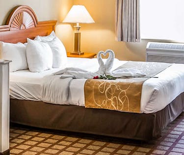 Comfort Suites Chicago Schaumburg Chicago Hoteltonight