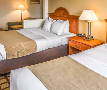 Comfort Suites Chicago Schaumburg Chicago Hoteltonight