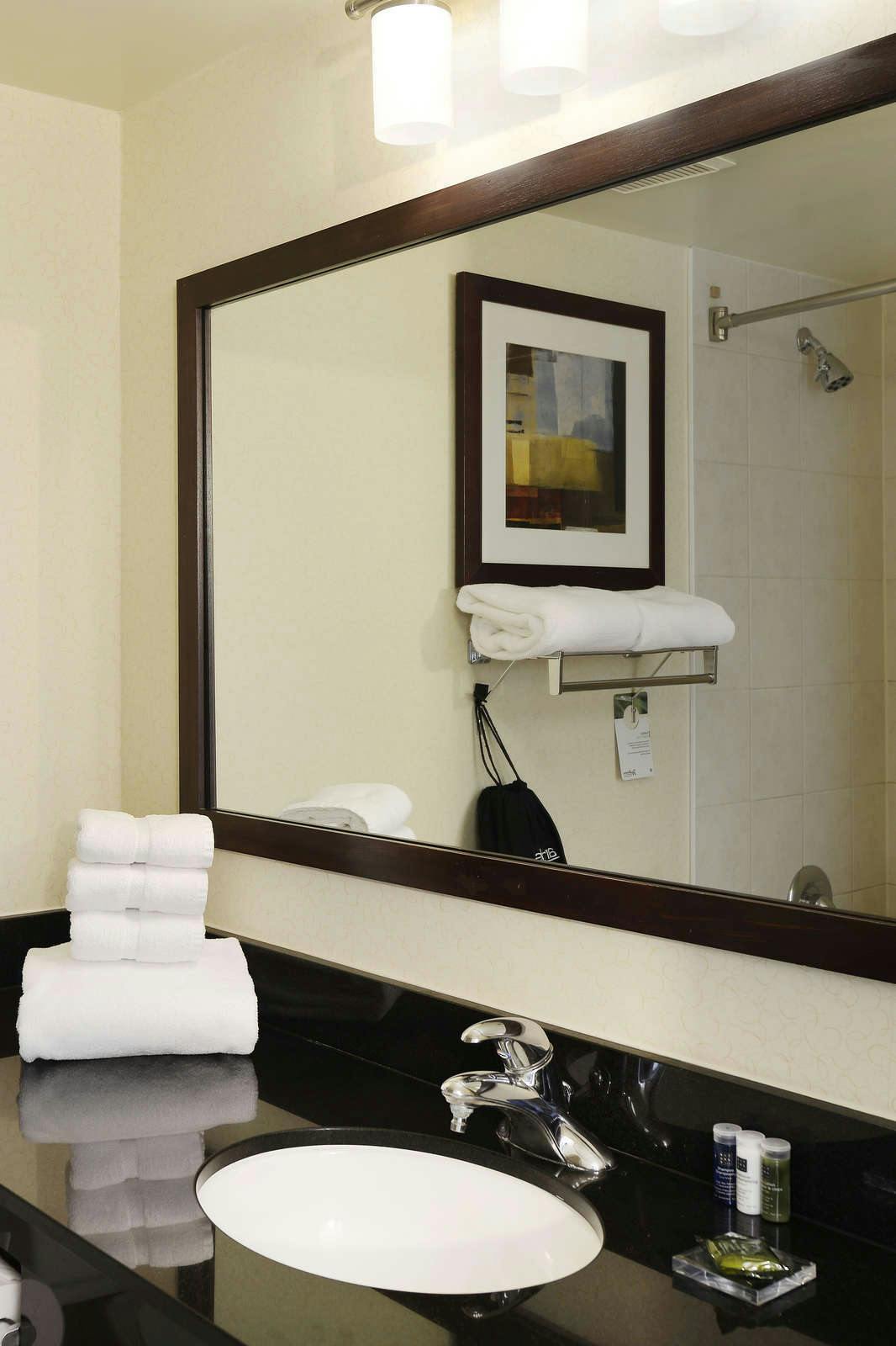 Hotel Holiday Inn Ottawa Dwtn - Parliament Hill photo 5