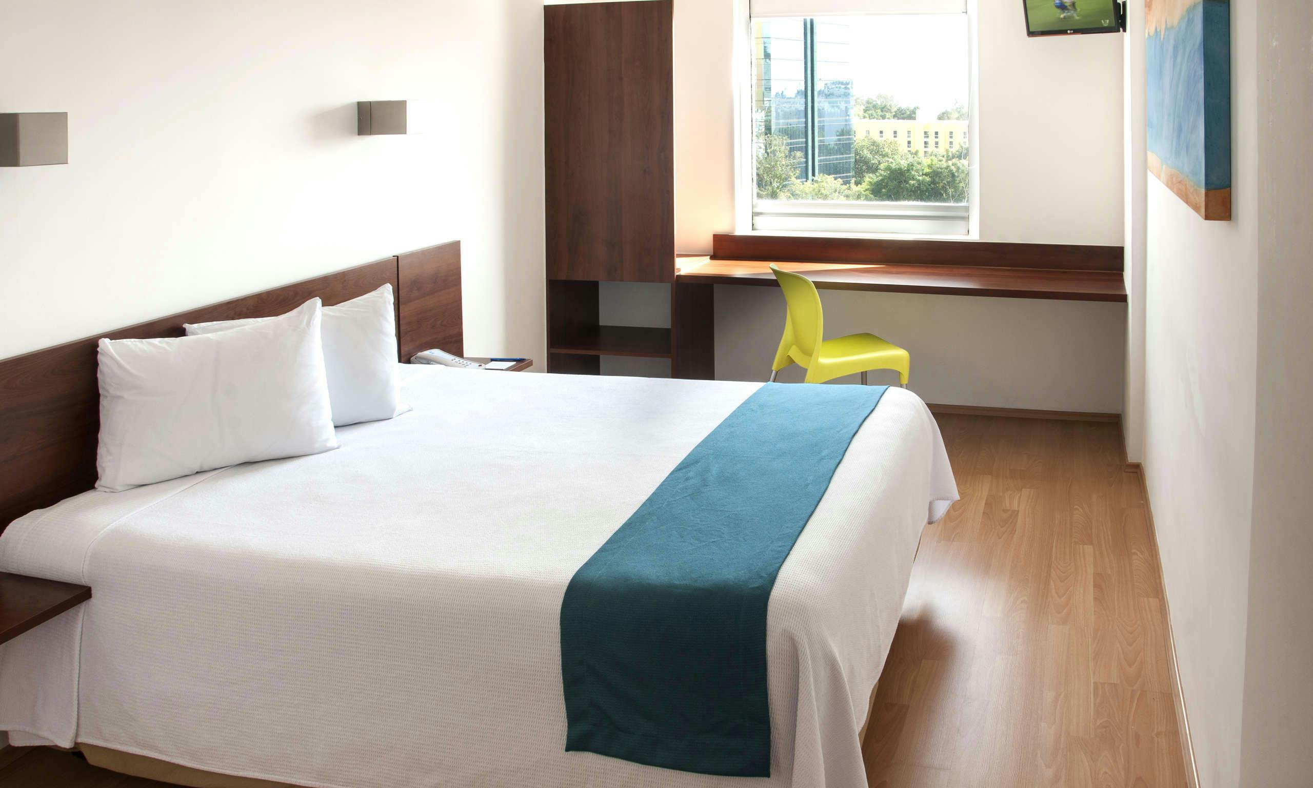 One Xalapa Las Animas