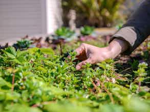 Hotel Novotel Porto Gaia photo 3