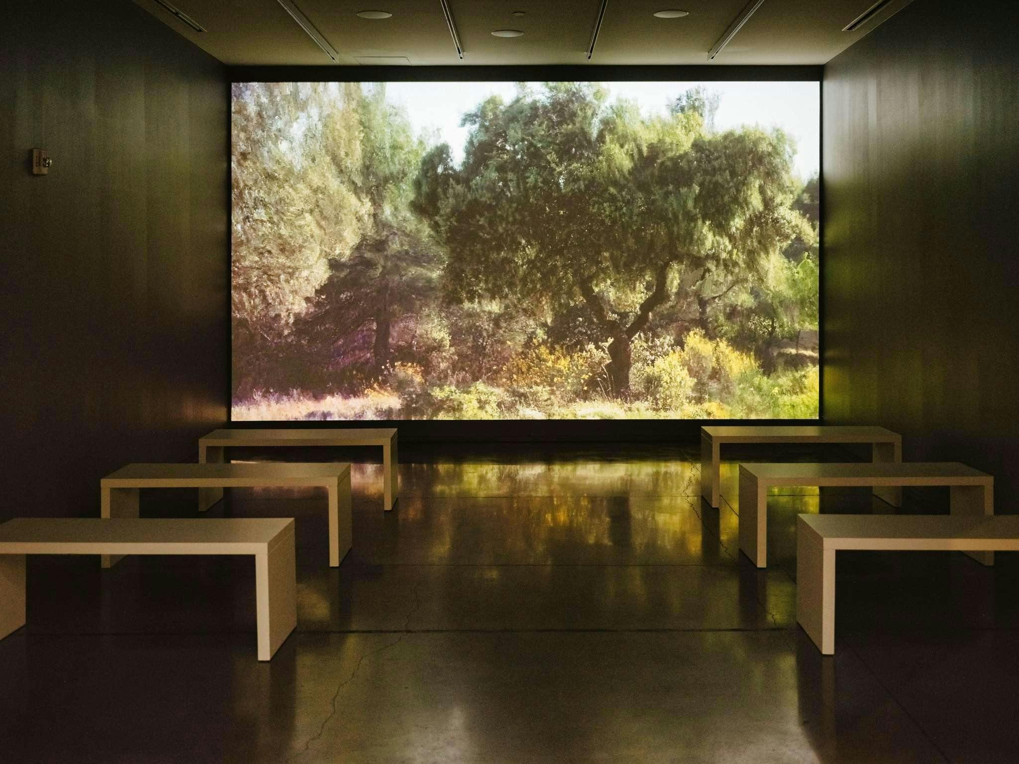 Hotel 21c Museum Hotel Bentonville photo 4