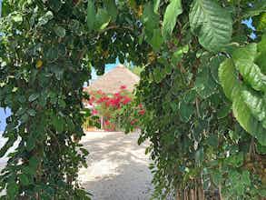 Hotel The Pelican Key Largo Cottages photo 1