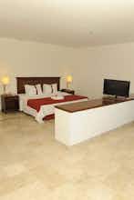 Hotel Gamma Plaza Ixtapa photo 1