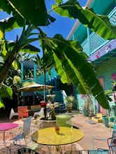 Hotel Creole Gardens Guesthouse & Inn photo 3