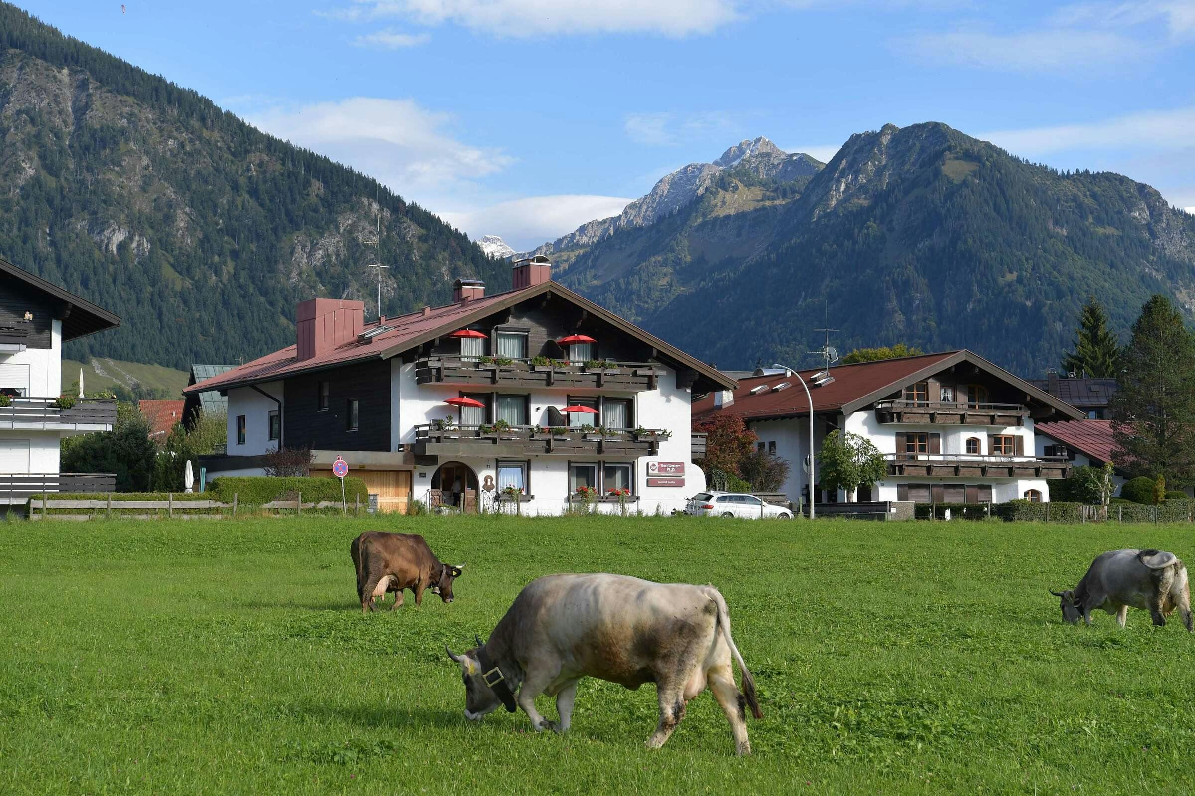 Hotel Best Western Plus Hotel Alpenhof photo 3