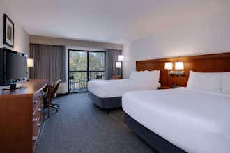 Hotel Courtyard by Marriott Tampa North/I-75 Fletcher photo 1