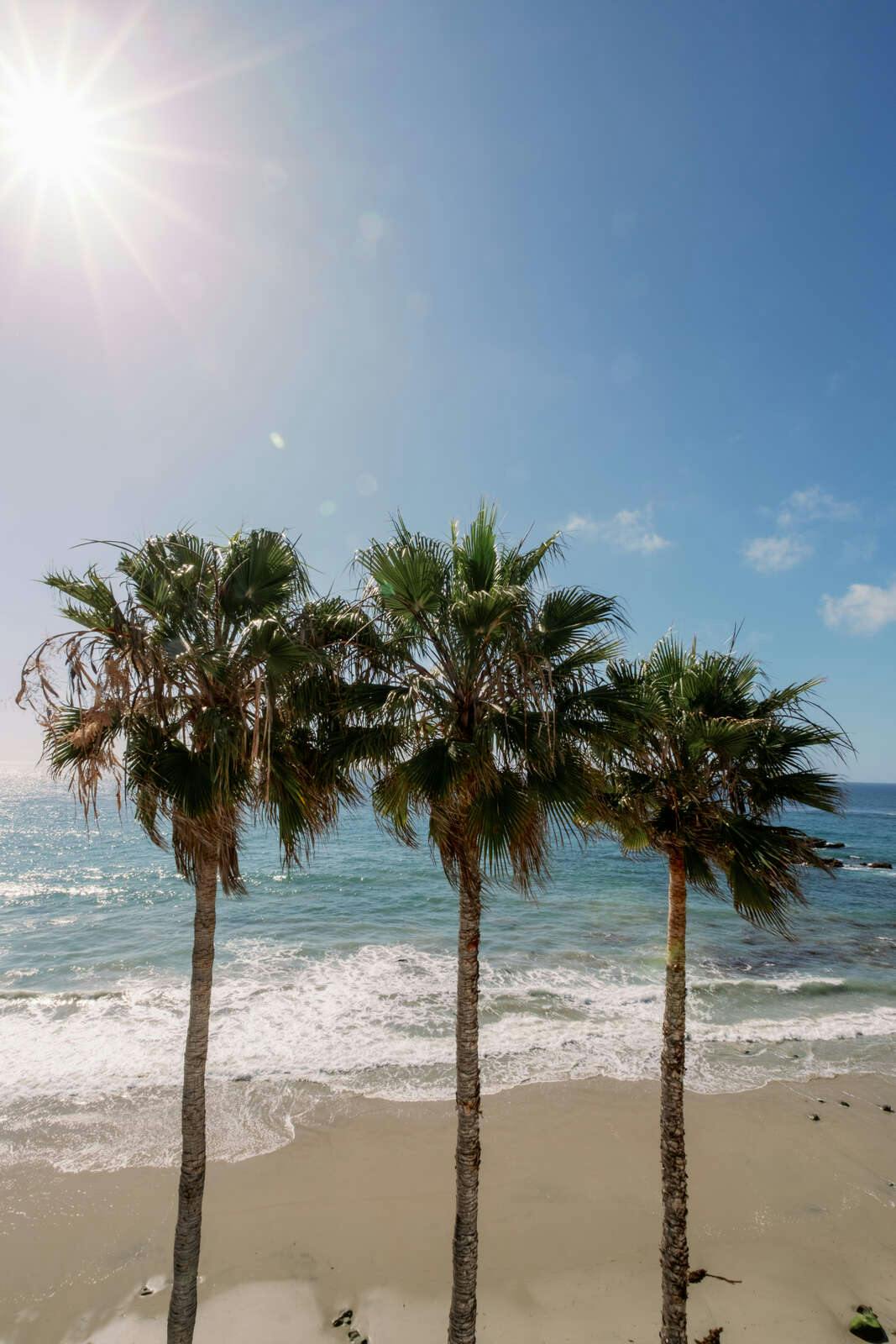 Hotel Capri Laguna on the Beach photo 4