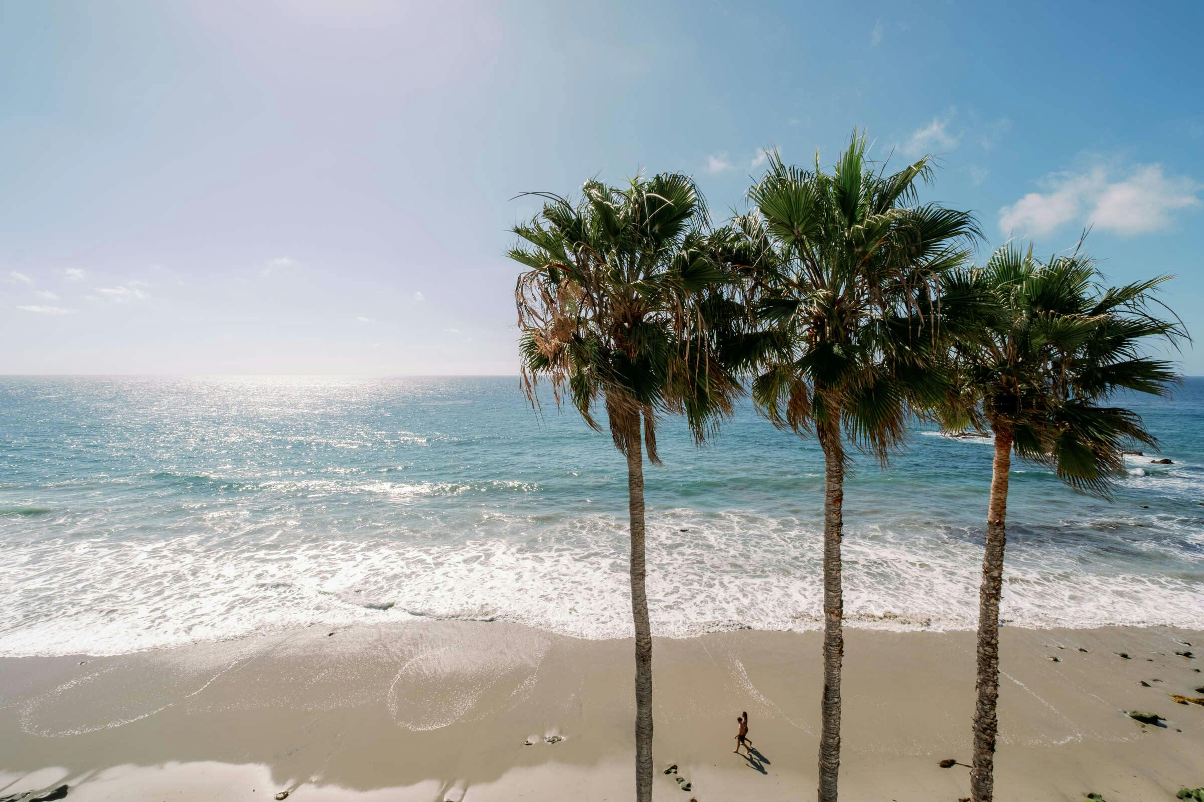 Hotel Capri Laguna on the Beach photo 5