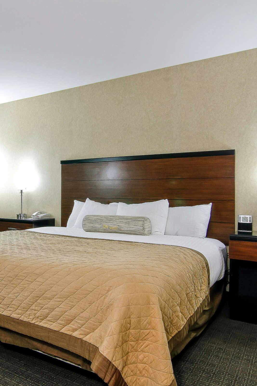 Wyndham Garden Phl Philadelphia Phl Hoteltonight