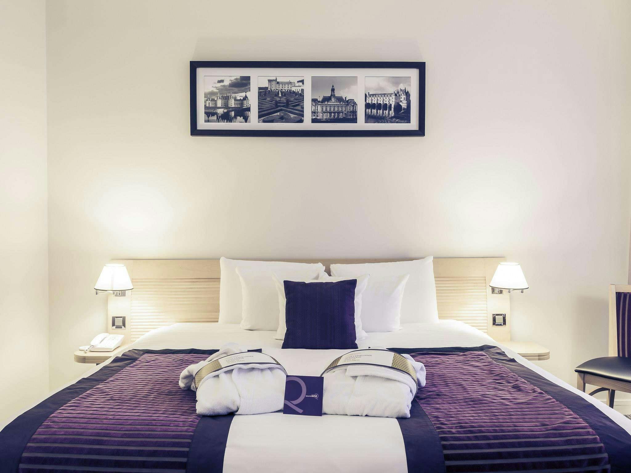 Hôtel Mercure Tours Centre Gare Et Congrès