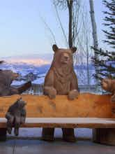 Hotel Faraway Jackson Hole photo 2