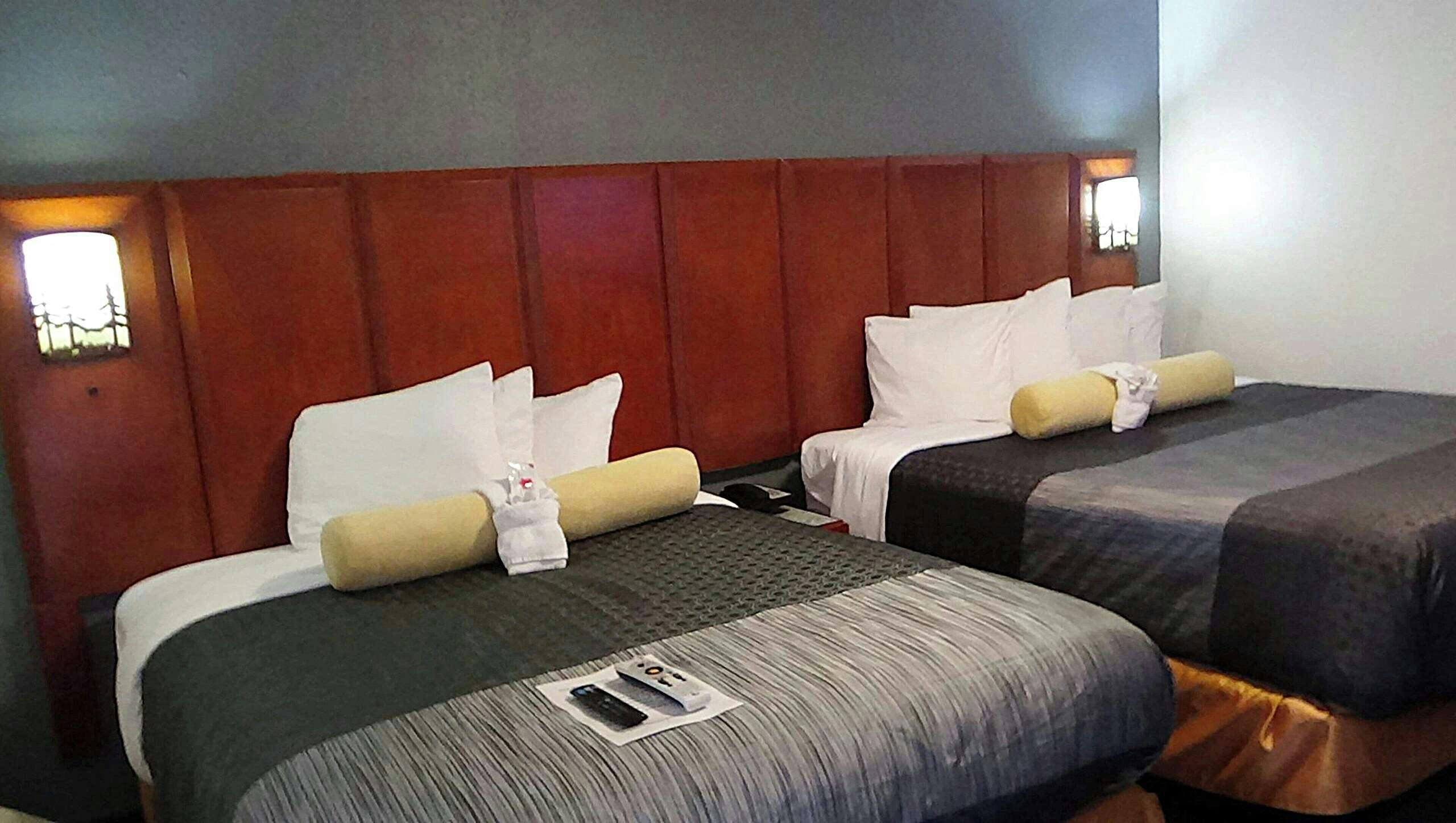 Hotel Mountain Star Inn photo 3
