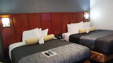 Hotel Mountain Star Inn photo 3