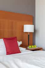 Hotel Hotel Park Consul photo 3
