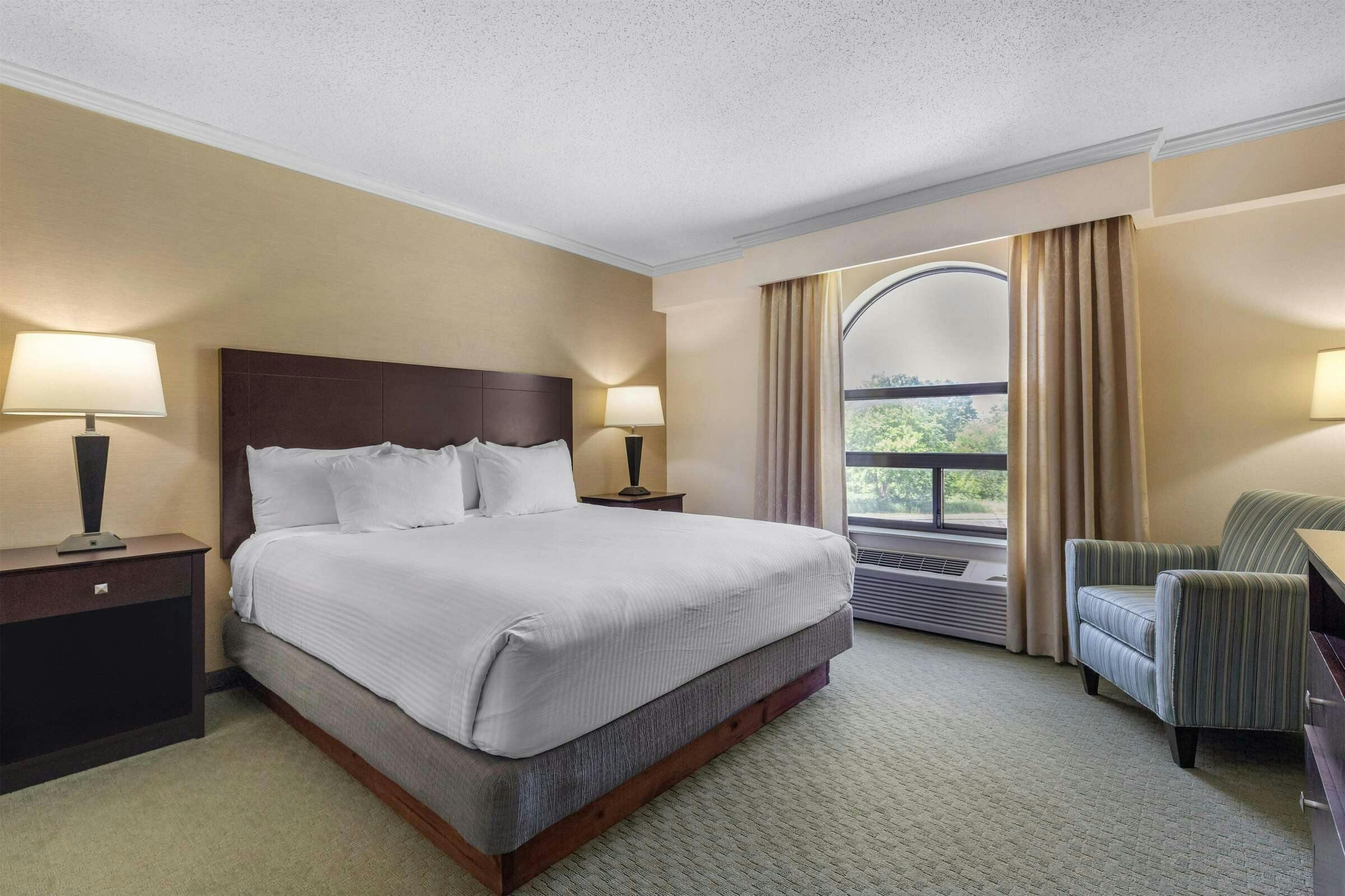 Best Western Davison Inn