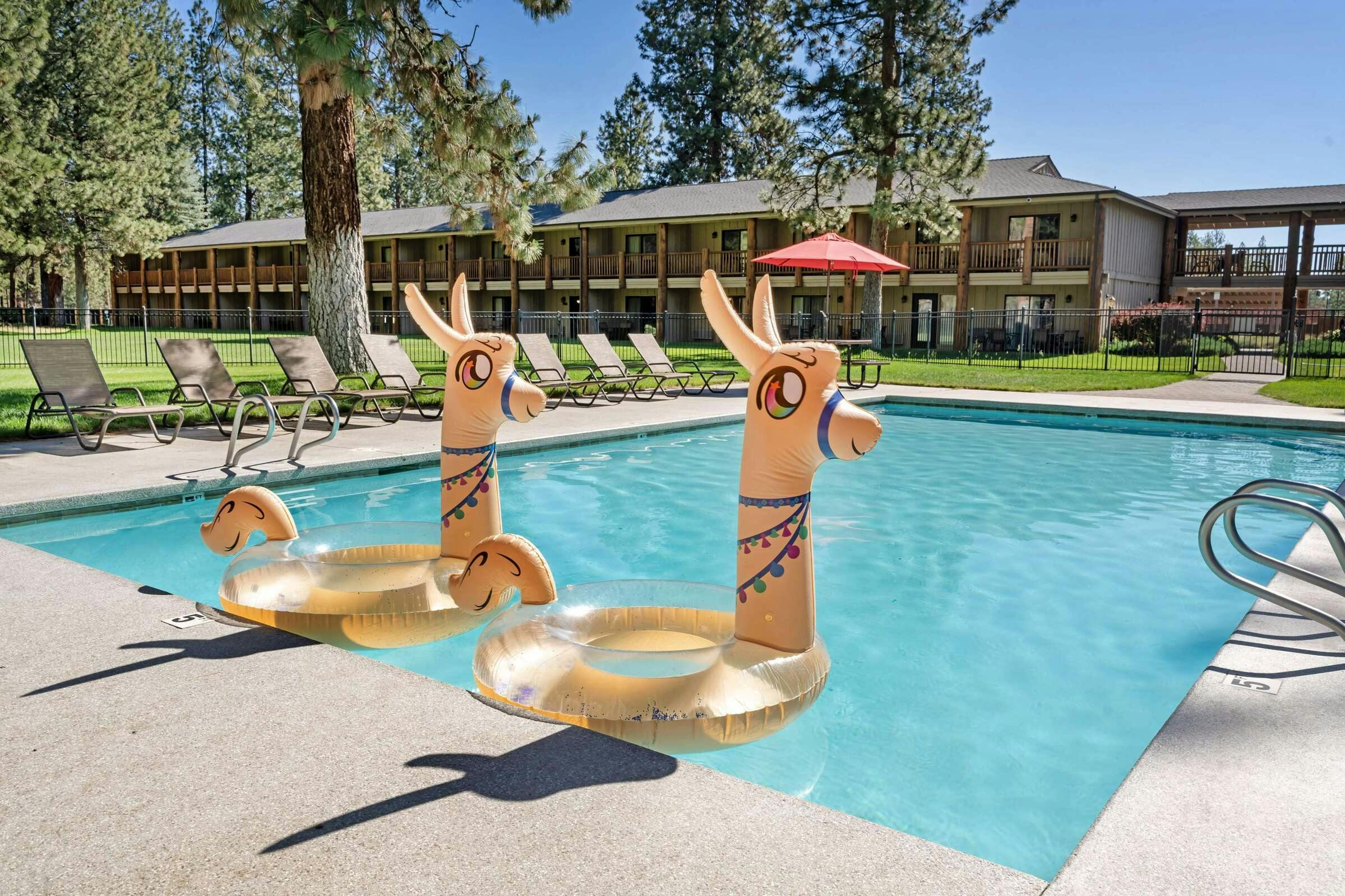 Hotel Best Western Ponderosa Lodge photo 2