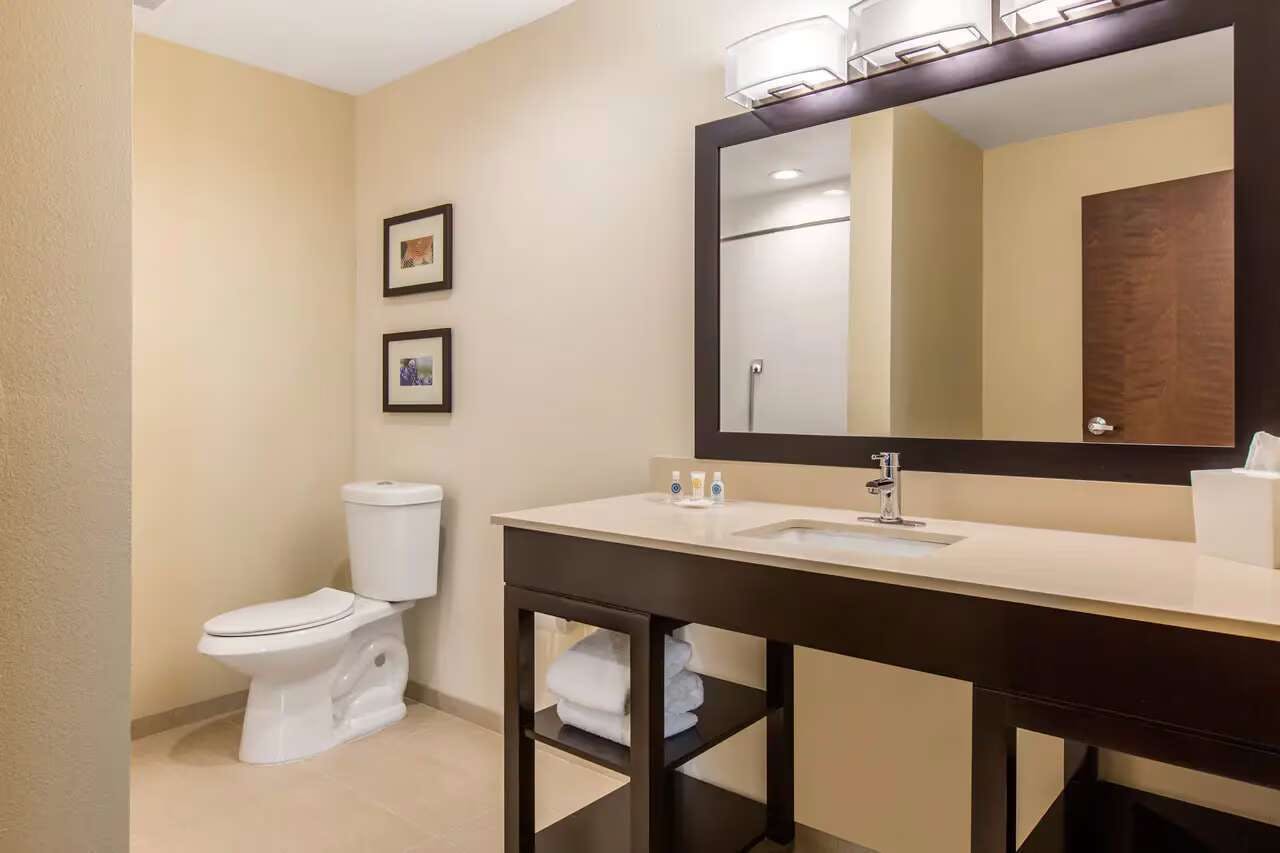Hotel Comfort Suites - South Austin photo 4
