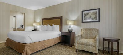 Best Western Plus Big America