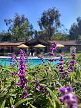 Hotel Temecula Creek Inn photo 5