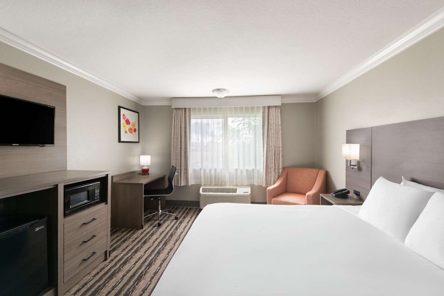 Hotel Solara Inn & Suites photo 2