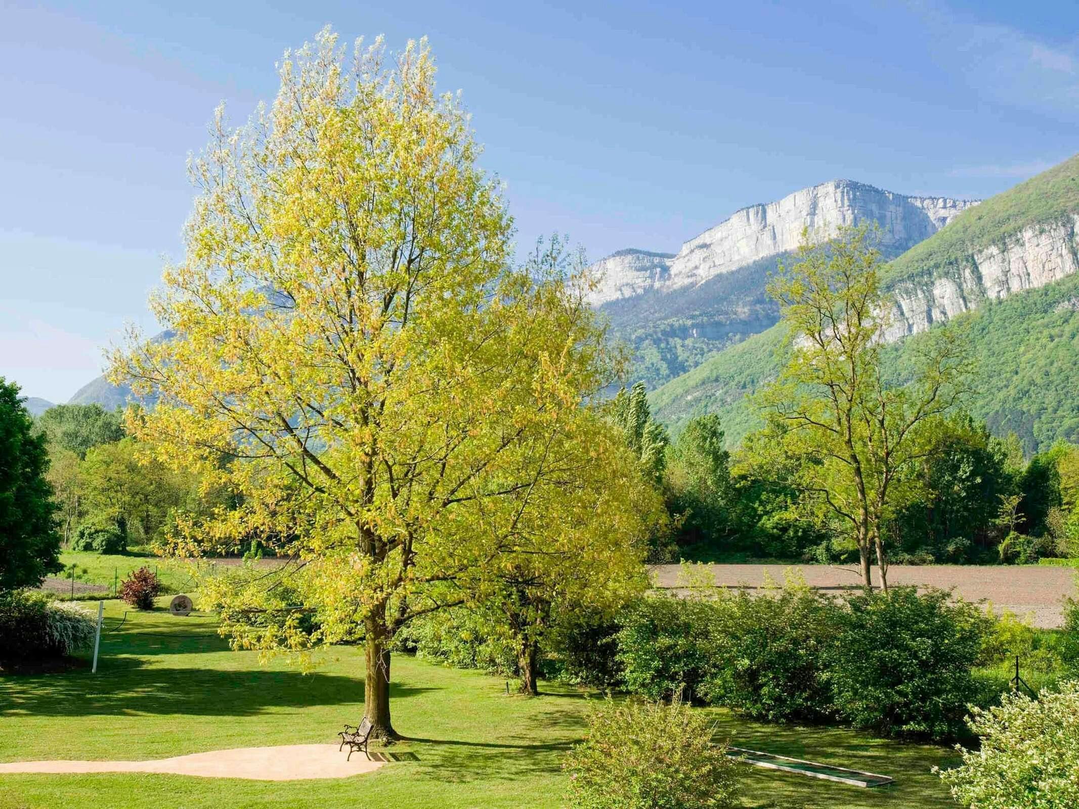 Hotel Novotel Grenoble Nord Voreppe photo 5