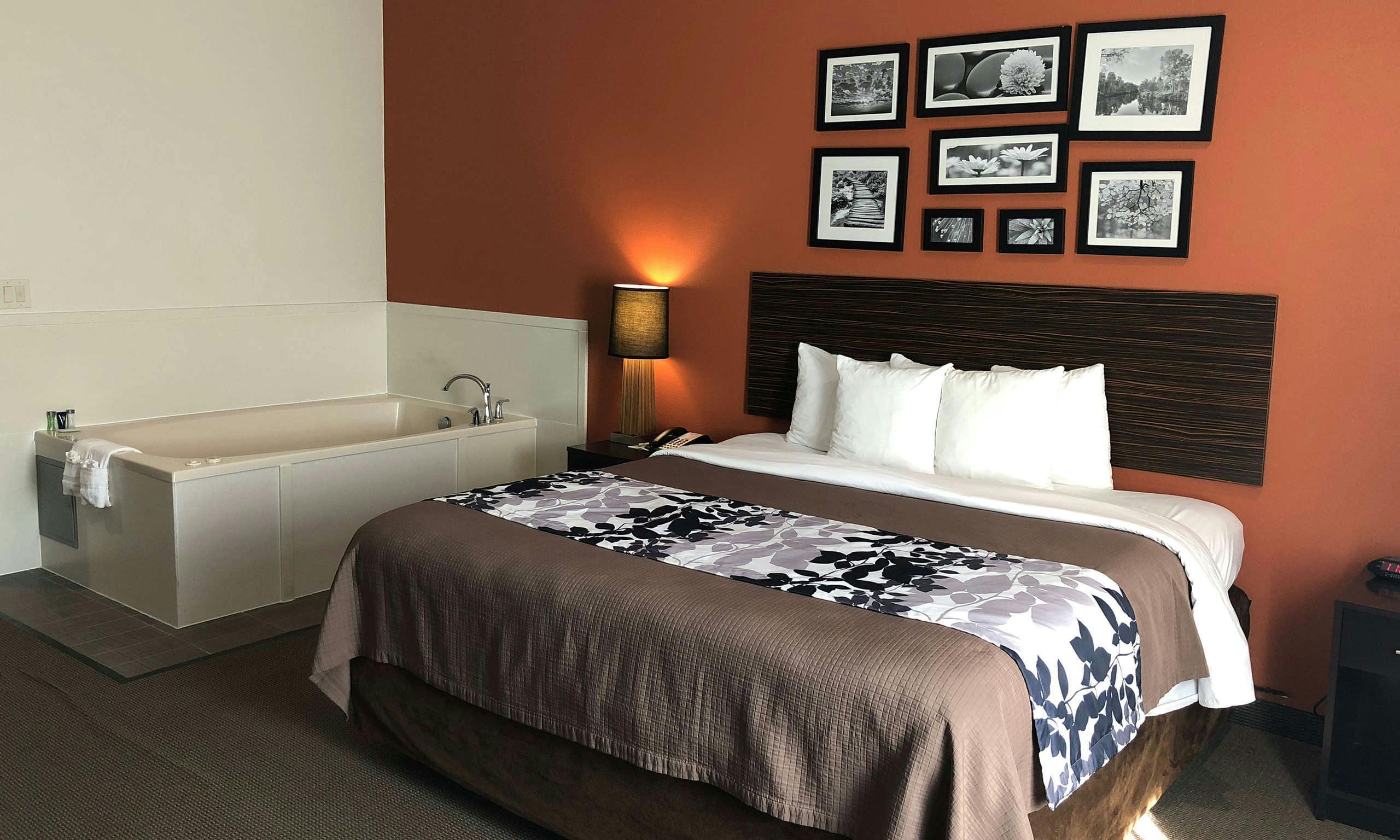 Sleep Inn & Suites Houston I - 45 North