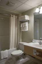Hotel Meadowlands Plaza Hotel photo 3